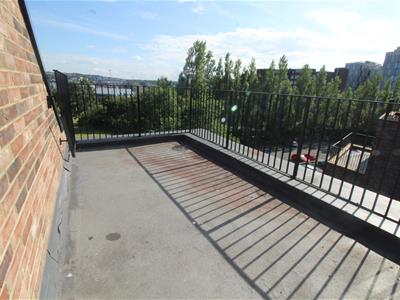 Picture 7